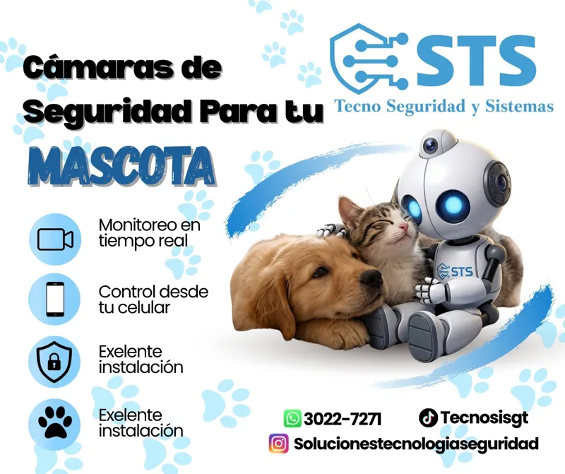 Cámaras de seguridad para mascotas